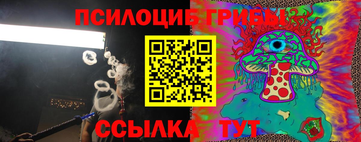 Псилоцибиновые грибы Psilocybe Качканар