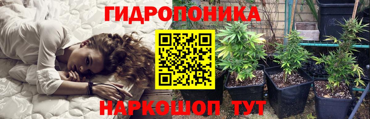 Канабис марихуана Качканар